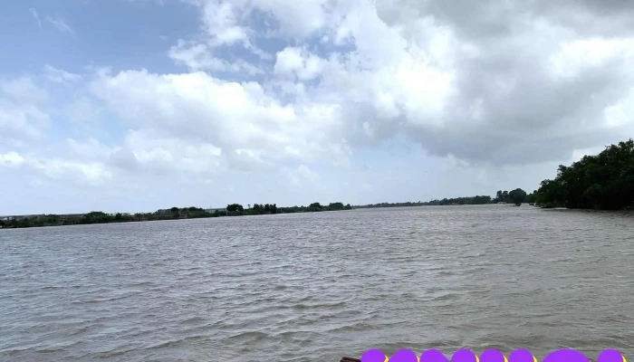Con Phu Da Tat Ca - Bến Tre