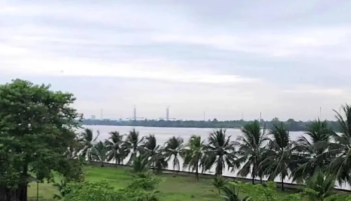 Con Phung Video - Bến Tre