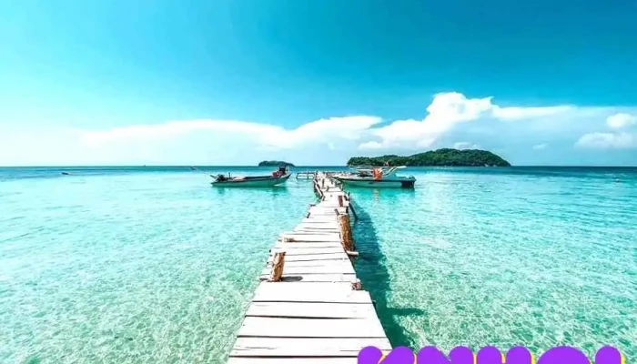Cong Ty Tnhh Dich Vu Thuong Mai Du Lich Dao Ngoc Moi Nhat - Kiên Giang