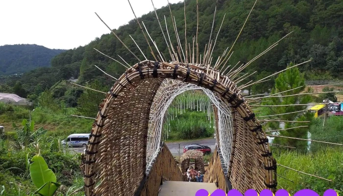 Cong Ty Tnhh Tham Quan Du Lich Ben Tre Cua Chu So Huu - Bến Tre