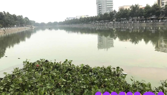 Cong Vien   Tet Mau Than Gieng Nuoc Lon - Tiền Giang