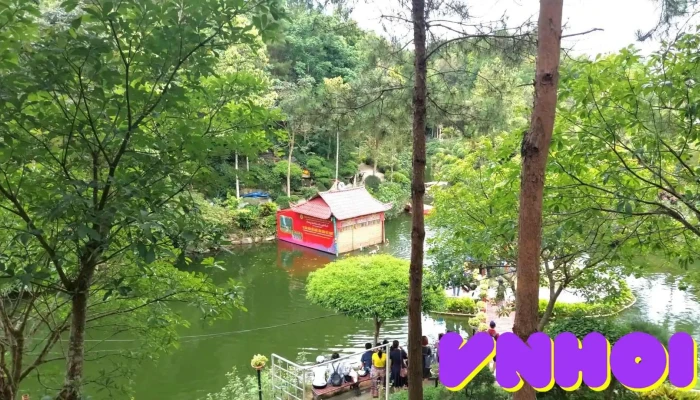 Cong Vien Di San Video - Hòa Bình
