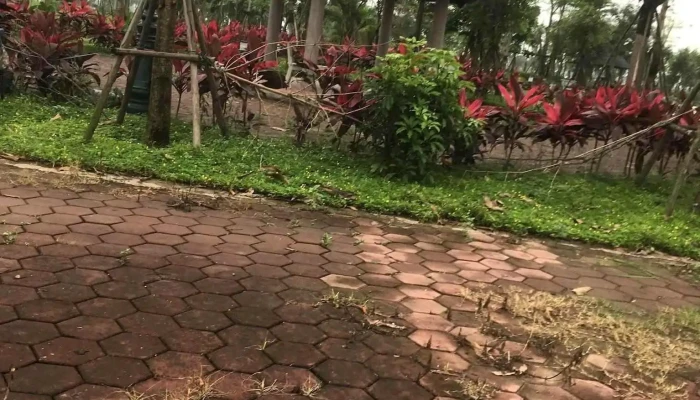 Cong Vien Dong Van Principal - Đồng Văn
