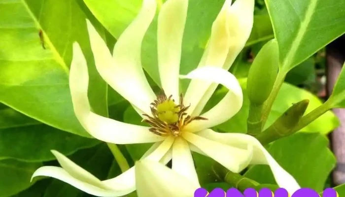 Công viên Hòa Bình - Hà Nội