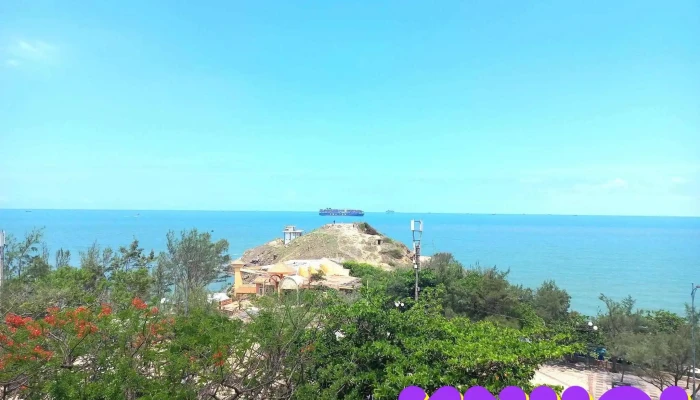 Cong Vien Tao Phung Bai Bien - Bà Rịa - Vũng Tàu