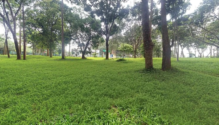 Cong Vien Van Hoa Suoi Tre Che Do Xem Pho Va 360deg - Đồng Nai