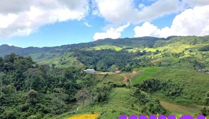 Cot Co Mu La Tat Ca - Tuyên Quang