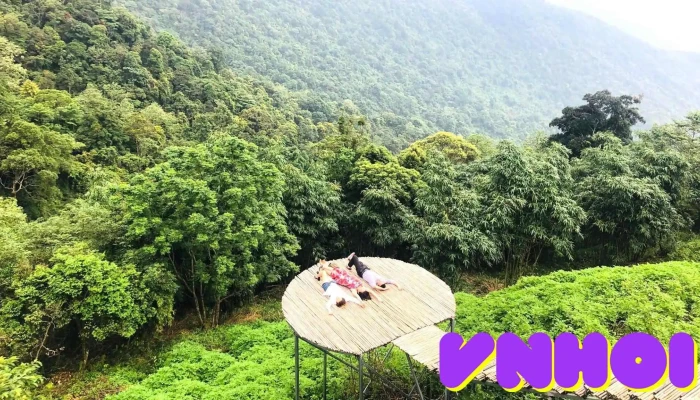 Cầu Mây Studio Tam Đảo - Tam Đảo