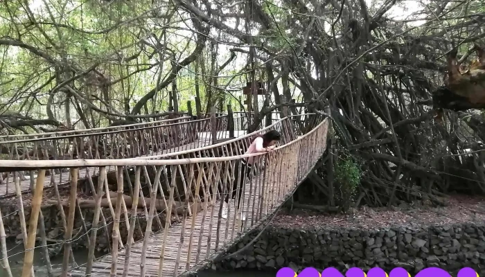Cầu Treo Sàn Si - Krông Na