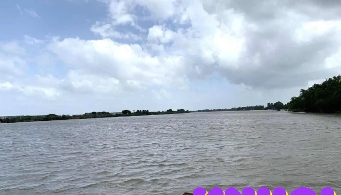 cồn Phú Đa - Bến Tre