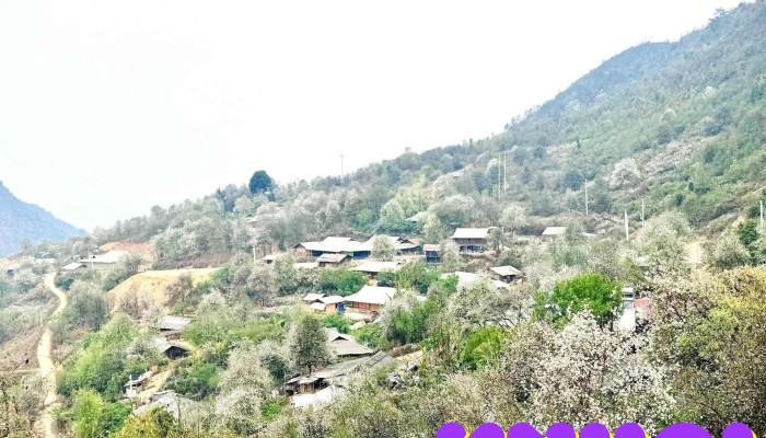 Cổng chào bản Nậm Nghiệp - Ngọc Chiến