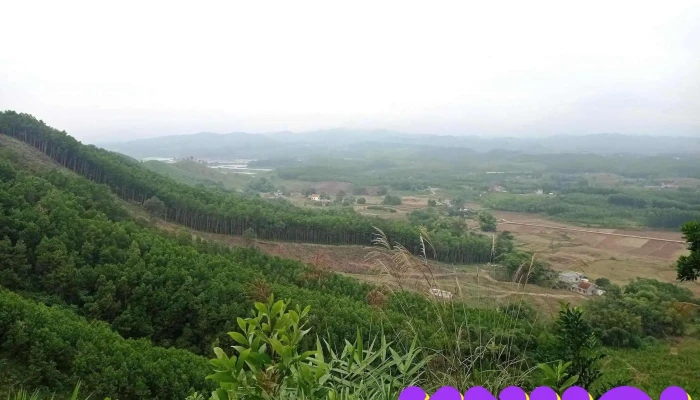 Cột cờ - Unnamed Road