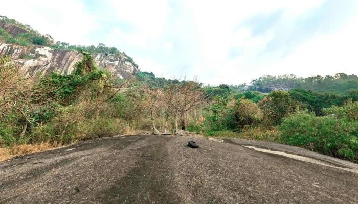 Da Dau Voi Che Do Xem Pho Va 360deg - An Giang