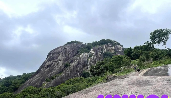 Da Dau Voi Tat Ca - An Giang