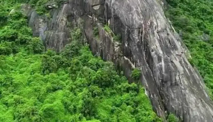 Da Dau Voi Video - An Giang