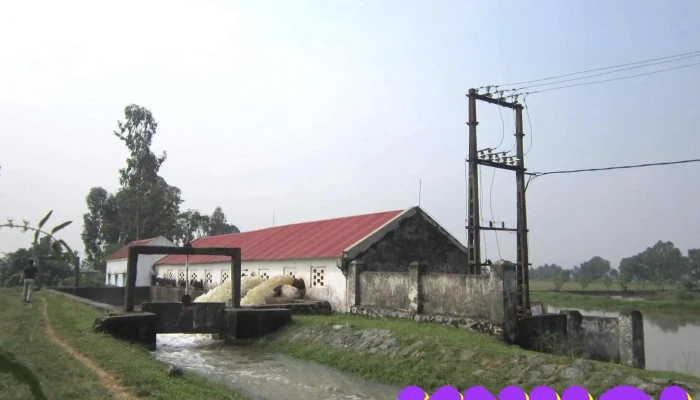 Dam Khanh Tat Ca - Ninh Bình