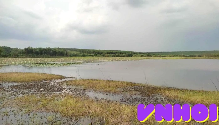 Dam Sen Phuoc Thien Tat Ca - Bình Phước