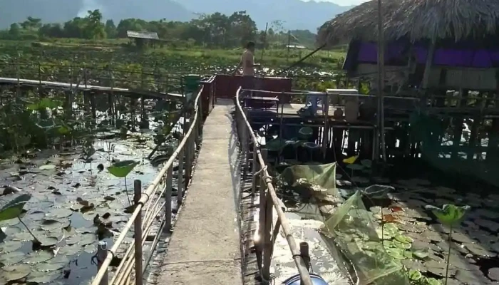 Dam Van Hoi Nui - Yên Bái