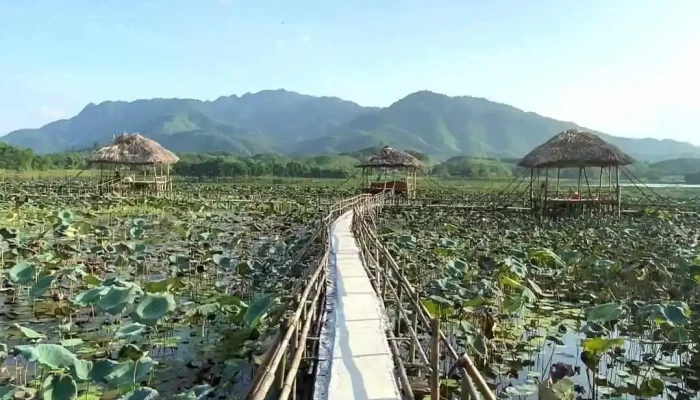 Dam Van Hoi Video - Yên Bái