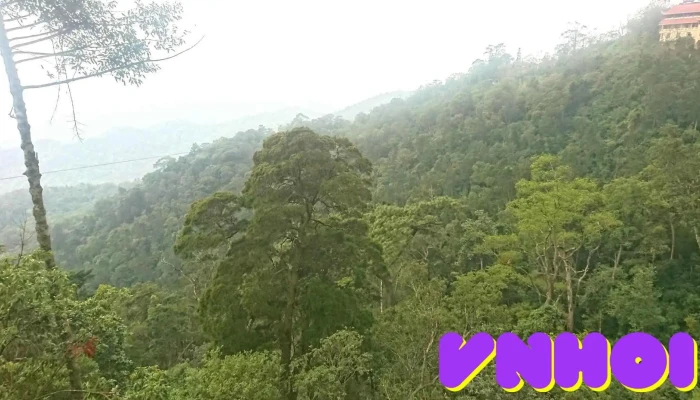 Danh Thang Yen Tu Ga Cap Treo Yen Tu - Quảng Ninh