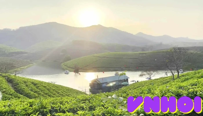 Dao Che Thanh Chuong Video - Nghệ An