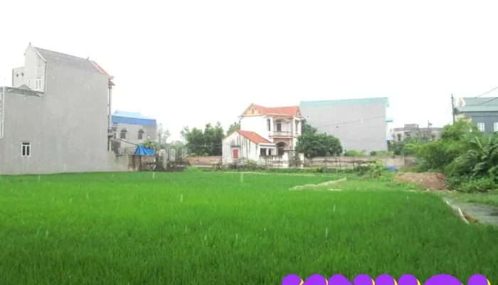 Dao Du Tat Ca - Hưng Yên