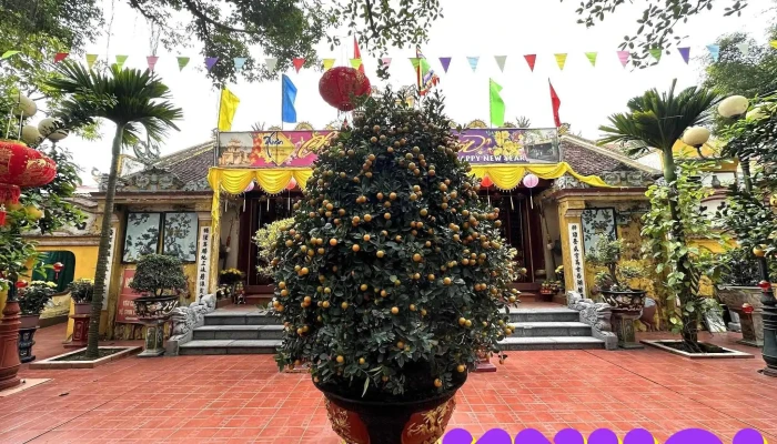 Den Cay Que Tat Ca - Nam Định