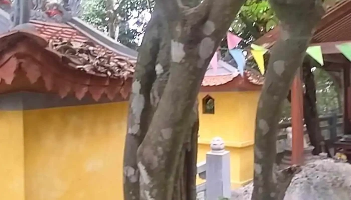 Den Co Be Mo Than Video - Tuyên Quang