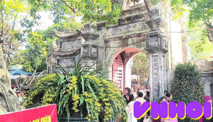 Den Mau Hung Yen Video - Hưng Yên
