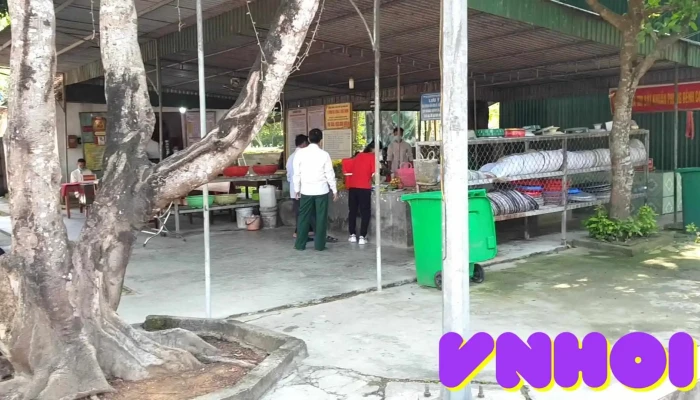 Den Qua Son Video - Nghệ An