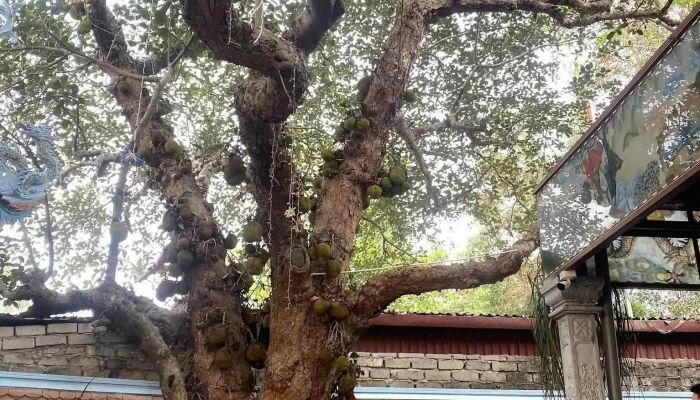 Den Quan De Nhi Giam Sat Moi Nhat - Lạng Sơn