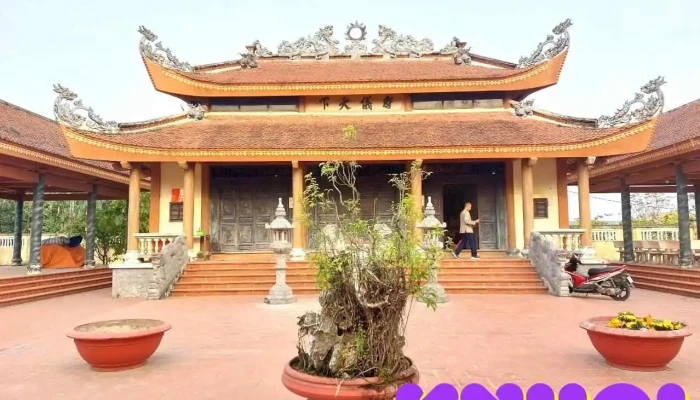 Den Quan Tat Ca - Thái Bình