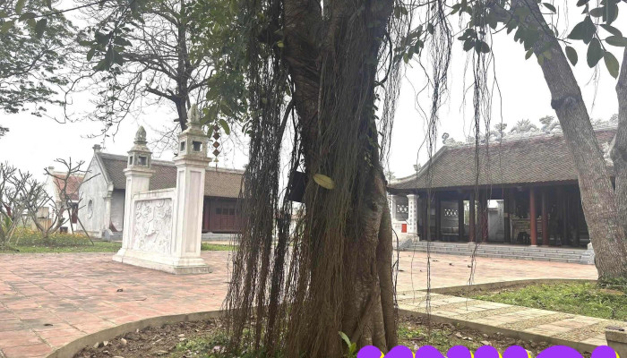 Den Thanh Liet Tat Ca - Nghệ An