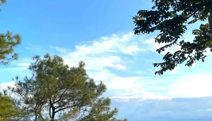 Den Tho Vua Quang Trung Moi Nhat - Nghệ An