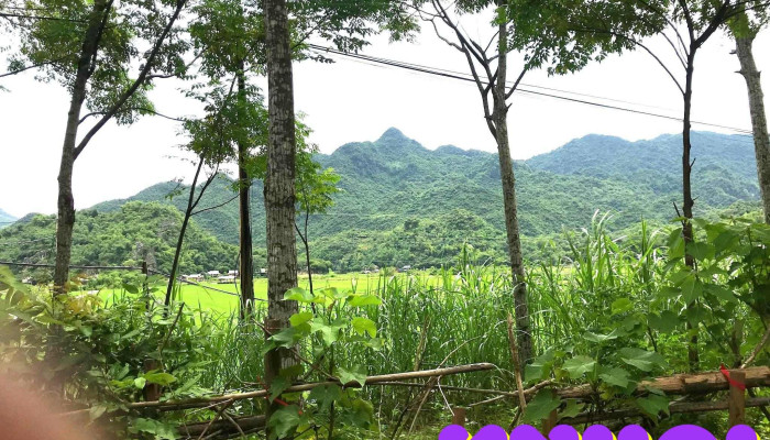 Di Tich Hang Chieu Moi Nhat - Hòa Bình