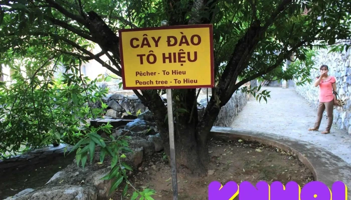 Di Tích Nhà Tù Sơn La - P. Tô Hiệu