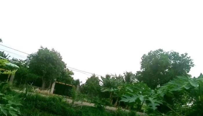 Dia Chi Tat Ca - Bình Dương