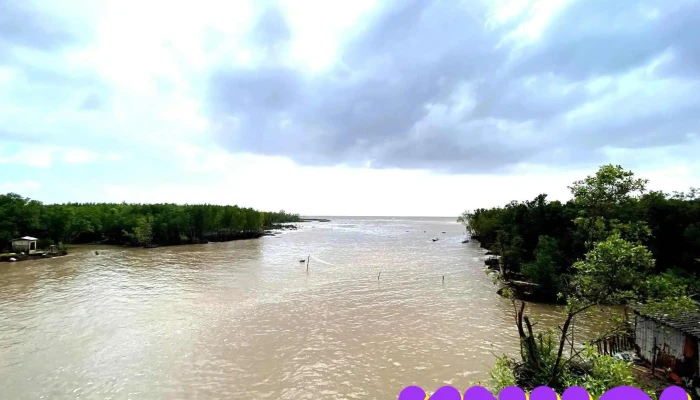 Diem Cuc Nam To Quoc Moi Nhat - Cà Mau