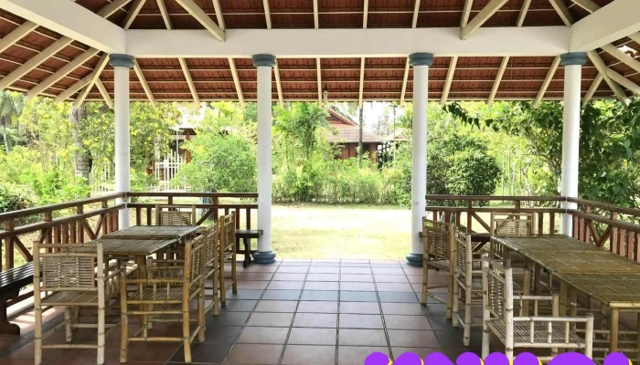 Diem Don Khach Khu Du Lich Con Phung Khong Gian Ben Trong - Bến Tre