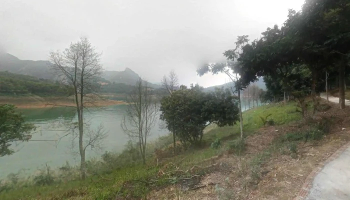 Diem Du Lich Sinh Thai Dao Dua Che Do Xem Pho Va 360deg - Hòa Bình