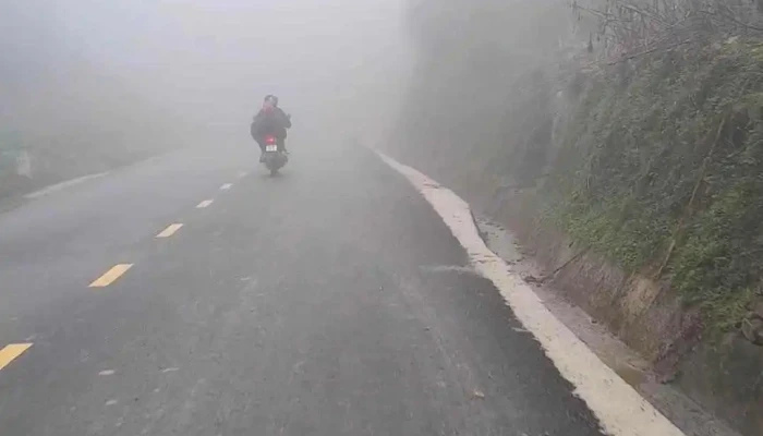 Diem Ngam Hoa Dao Pho Cao Video - Hà Giang