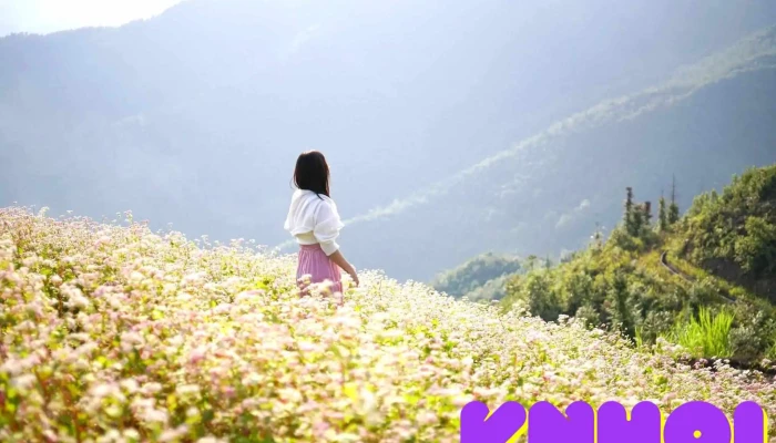 Diem Ngam Vuon Tam Giac Mach Nui - Hà Giang