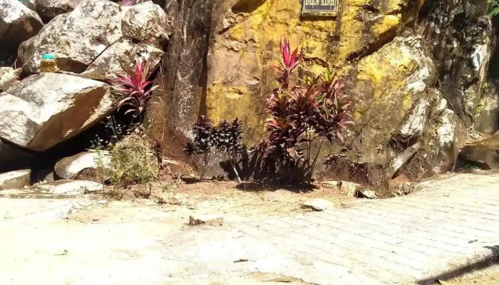 Dien Cuu Pham Video - An Giang