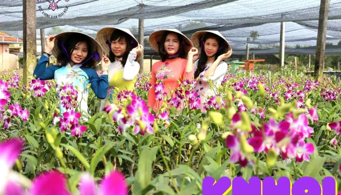 Dien Lan Thon Trang   Orchid Garden Cua Chu So Huu - Tiền Giang