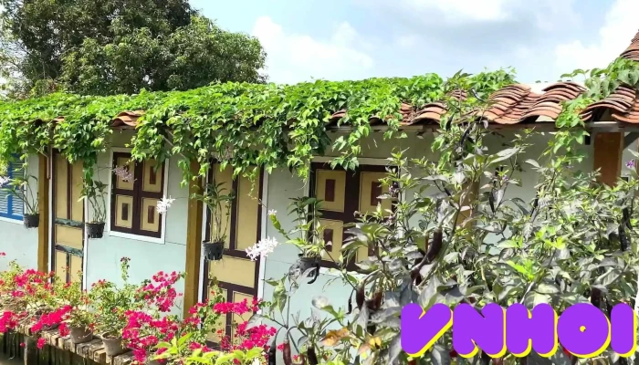 Dien Lan Thon Trang   Orchid Garden Video - Tiền Giang