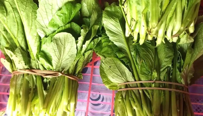 Dinh Lap Tat Ca - Lạng Sơn