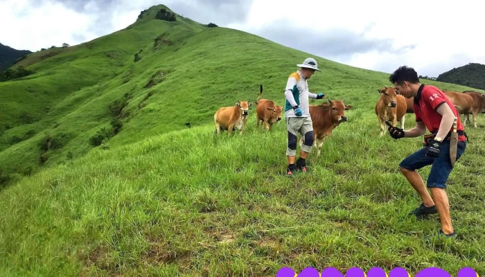 Dinh Phia Po Tieu Khien - Lạng Sơn