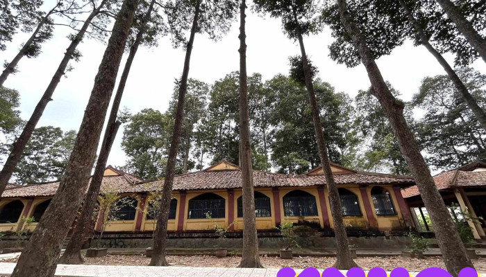 Dinh Phu Le Phu Le Temple Tat Ca - Bến Tre