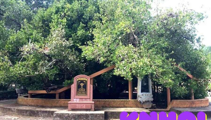 Dinh Phu Tu Tat Ca - Bến Tre
