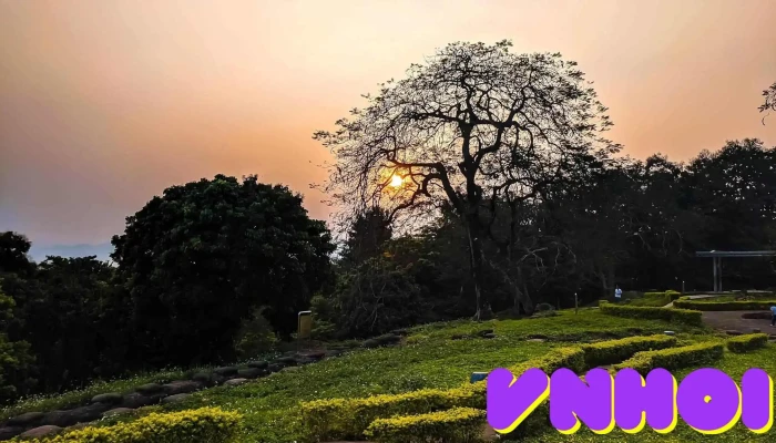 Doi A1 Tat Ca - Điện Biên